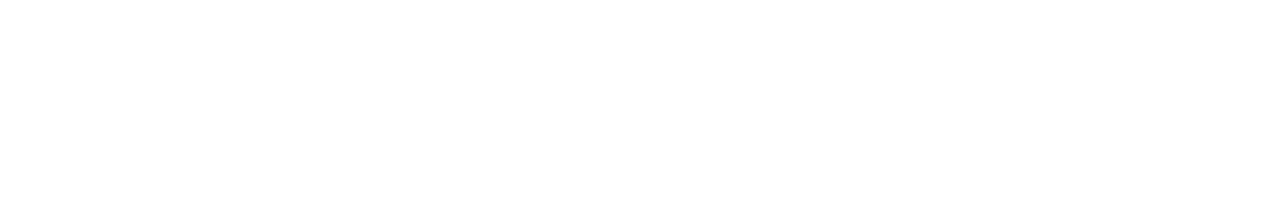 SUNPEEDE速比特 Logo